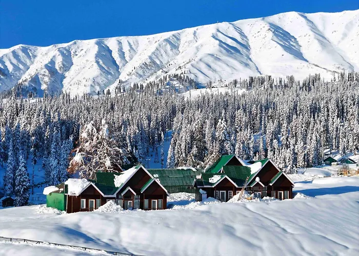 Gulmarg Woods By Stay Pattern