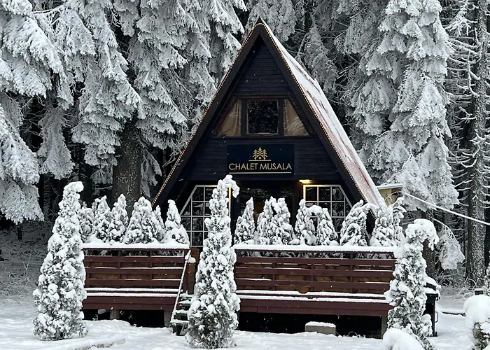 Villas Mura With Spa & Hot Swimming Pool Borovets