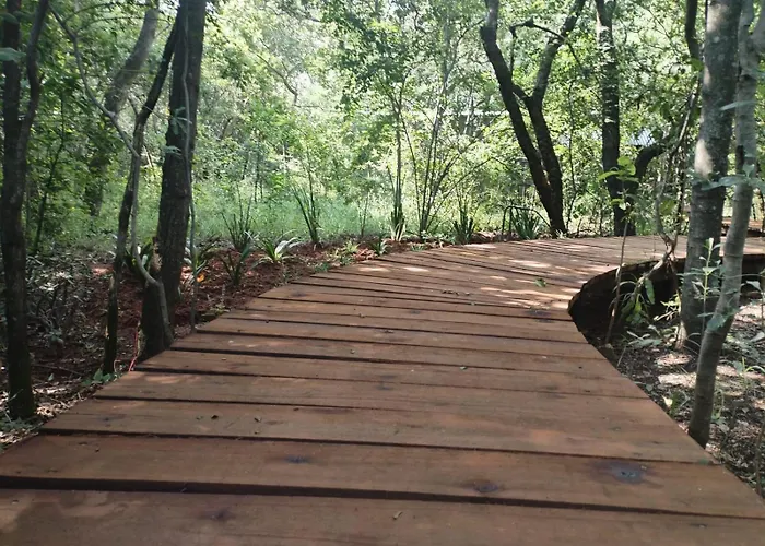Klein Eden Forest Rustenburg