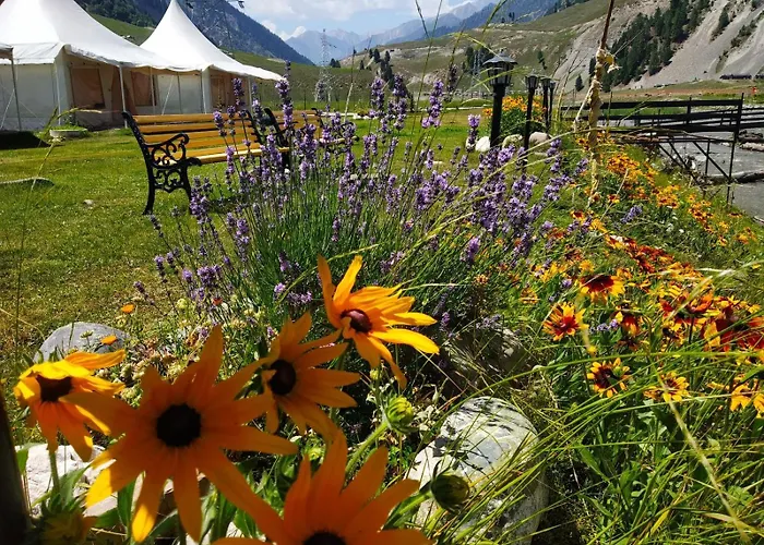 Sheenwoods Riverside Resort & Spa Sonamarg