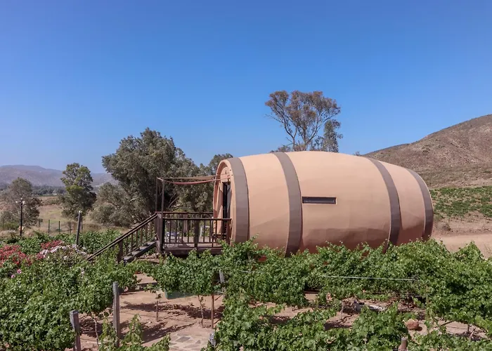Finca El Mirador Valle de Guadalupe