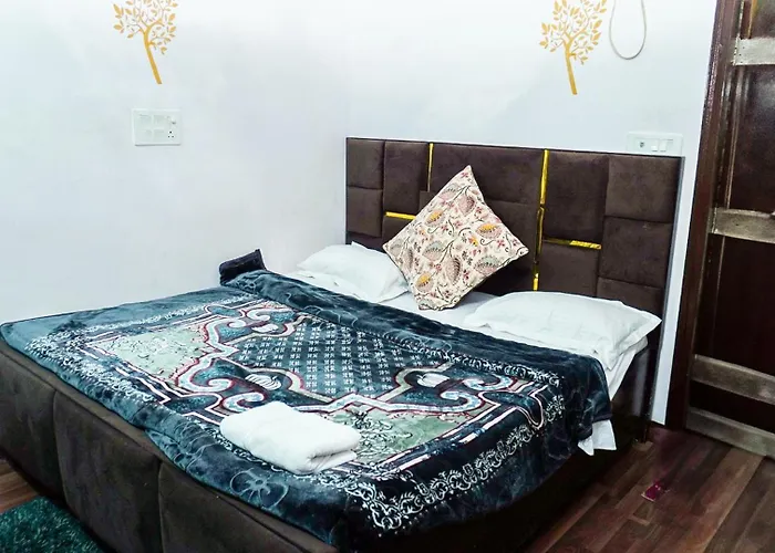 Flips With Mykonos Guest House New Delhi