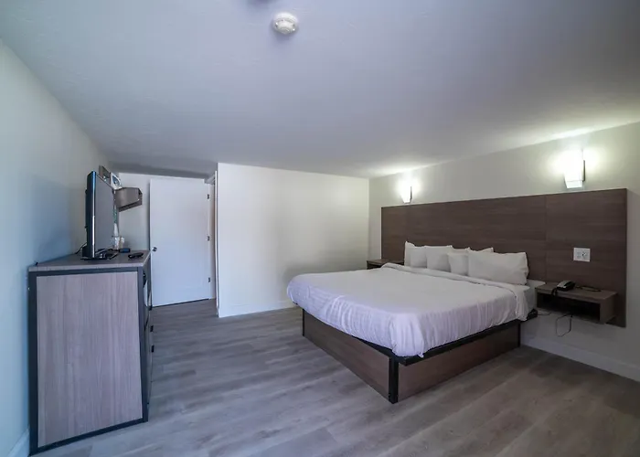 Viking Shores Motor Inn Eastham