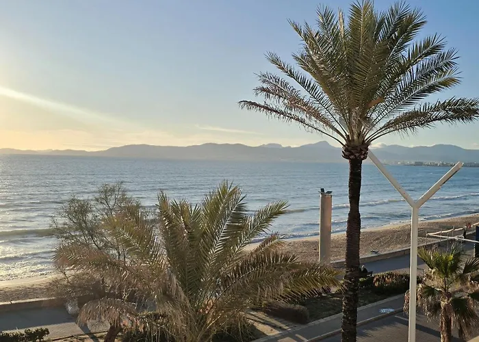 Hotel Q-Royal Playa de Palma 
