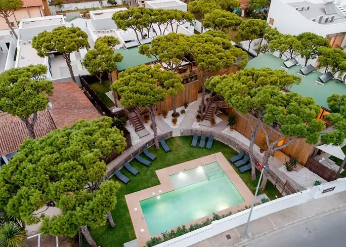 Nuevos Apartamentos Biopasivos Living Pura Madera Chiclana de la Frontera