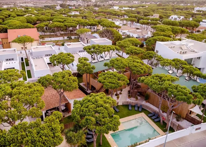 Nuevos Apartamentos Biopasivos Living Pura Madera Chiclana de la Frontera