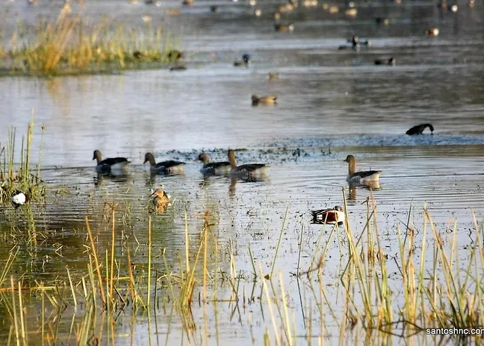 Bird Sanctuary Tourist Resort Gurgaon