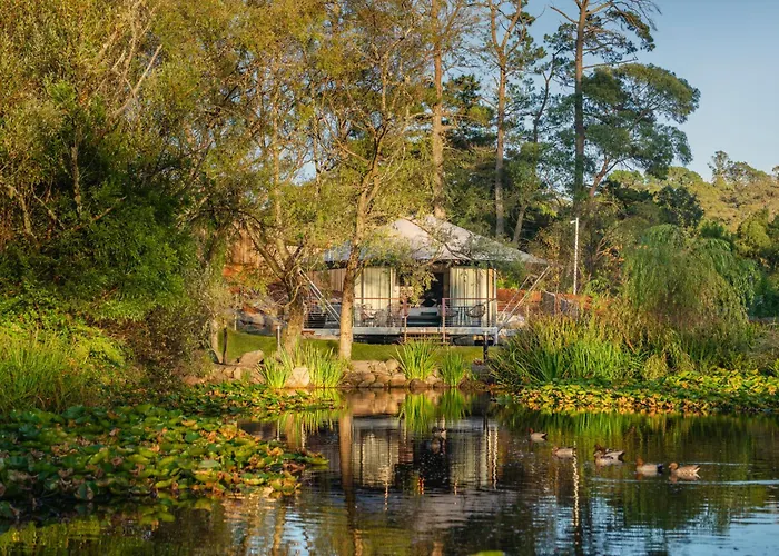Parklands Country Gardens & Lodges Blue Mountains Blackheath