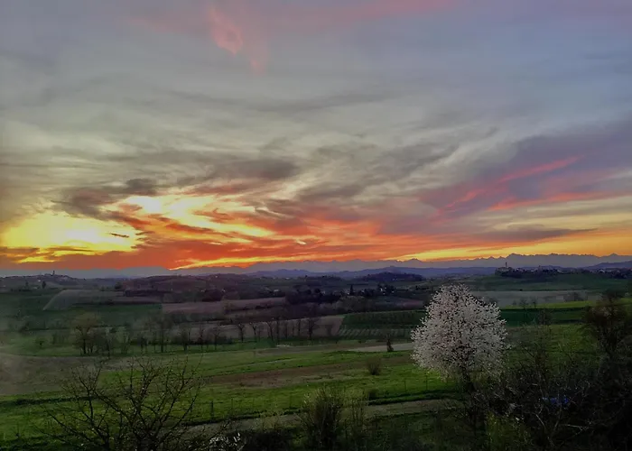 Casapaletti Country House Alfiano Natta