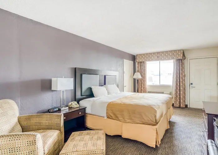 Oyo Hotel Alexandria La- Hwy 165