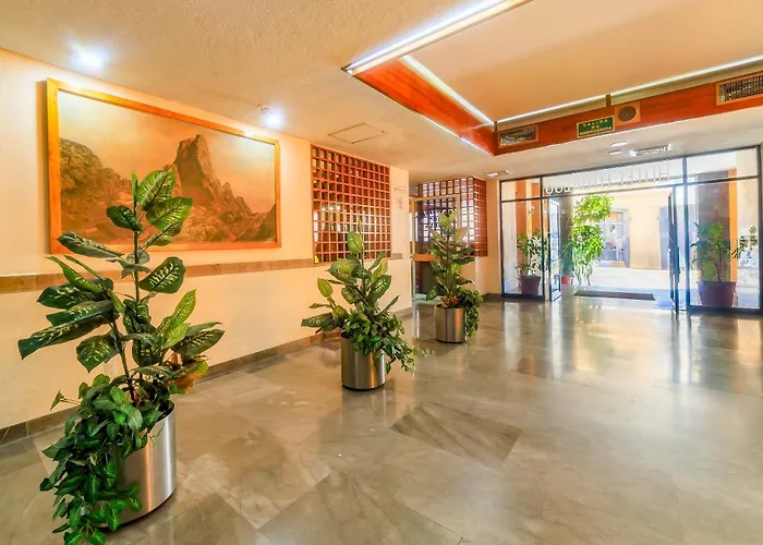 Oyo Hotel Hidalgo Mexico