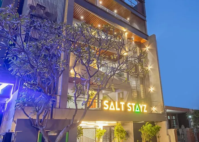 Saltstayz Premier - Paschim Vihar New Delhi