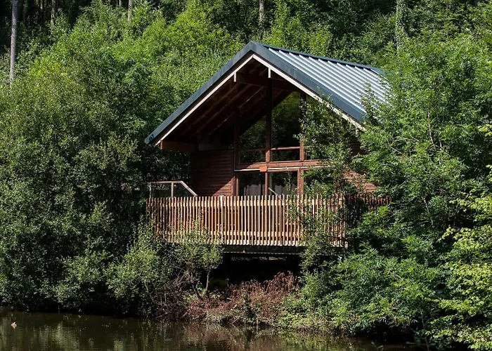 Deerpark Cabins, Cornwall - Forest Holidays Liskeard