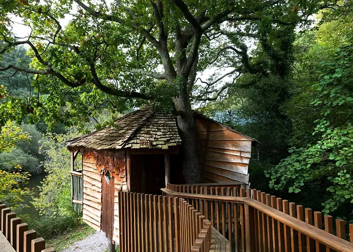 Deerpark Cabins, Cornwall - Forest Holidays Liskeard