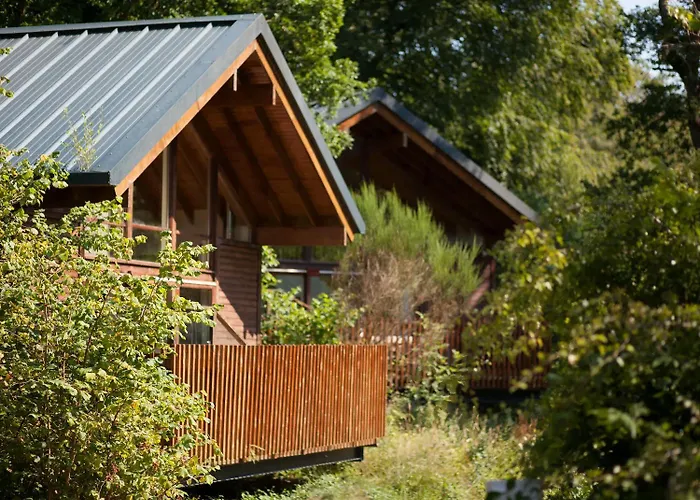 Deerpark Cabins, Cornwall - Forest Holidays Liskeard