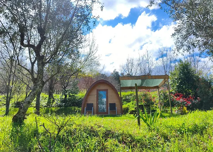 Quinta Das Cegonhas Gouveia 