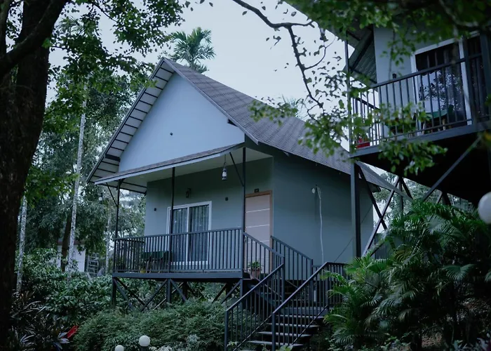 Mountain Vibes Resort Wayanad