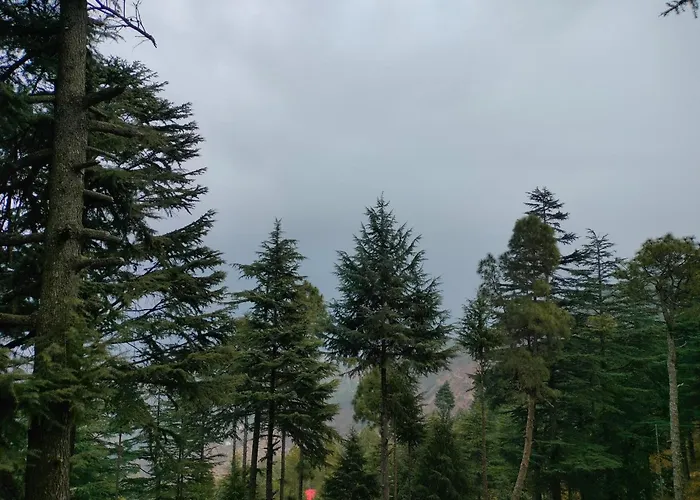 The Alpine Vista Hotel Almora
