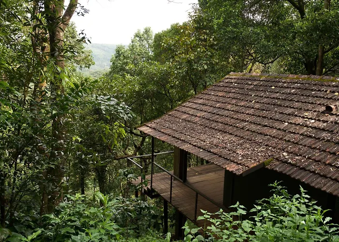 Deva Dhare Resort Sakleshpur