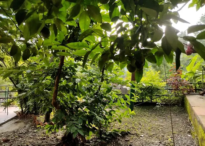 Dew Drops Homestay Bhowali