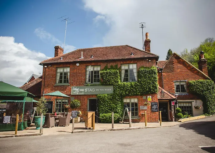 The Stag On The River Godalming