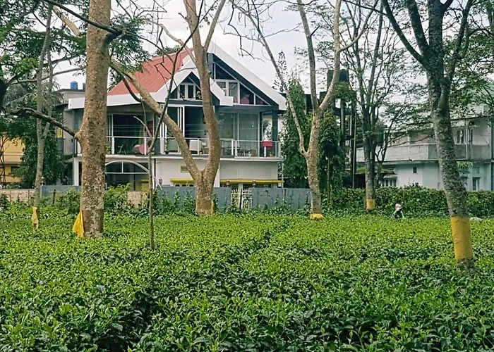 Super Luxury Gold Room With Private Pool At Homestay By The Tea Garden Dibrugarh