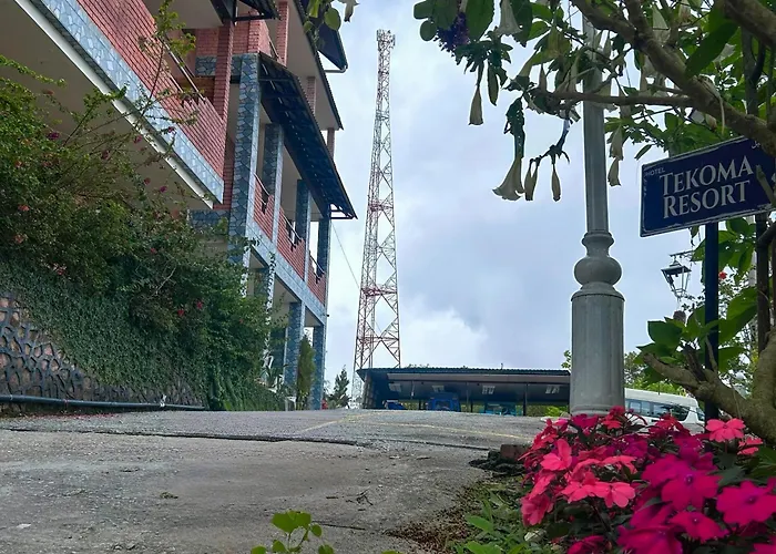 Tekoma Hotel & Hostel Cameron Highlands - Free Shuttle Service Tanah Rata