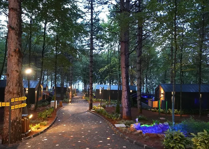 Saklı Vadi Tiny House Otel Maşukiye