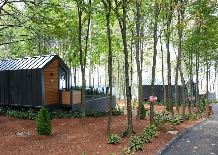 Saklı Vadi Tiny House Otel Maşukiye
