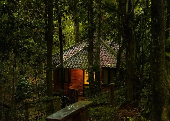 Ranches Jungle Beats Resorts Meppadi