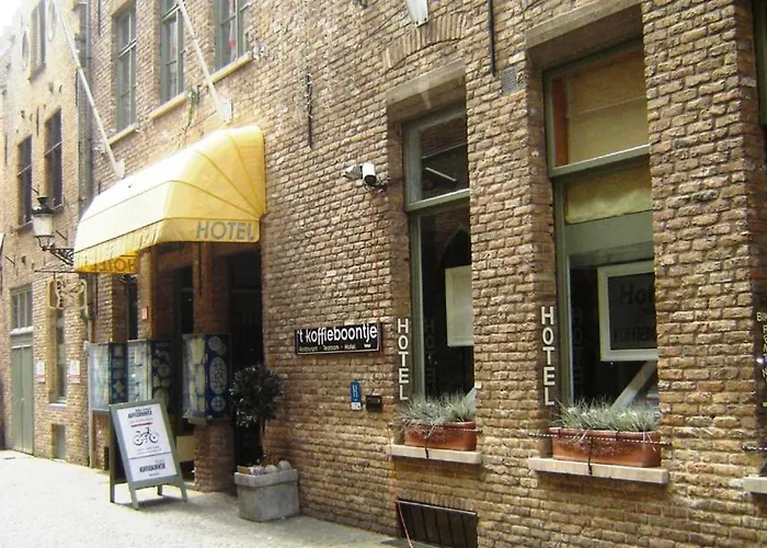 Koffieboontje Budget Brugge