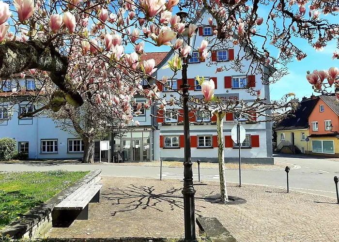 Hotel Restaurant Adler Immenstaad am Bodensee