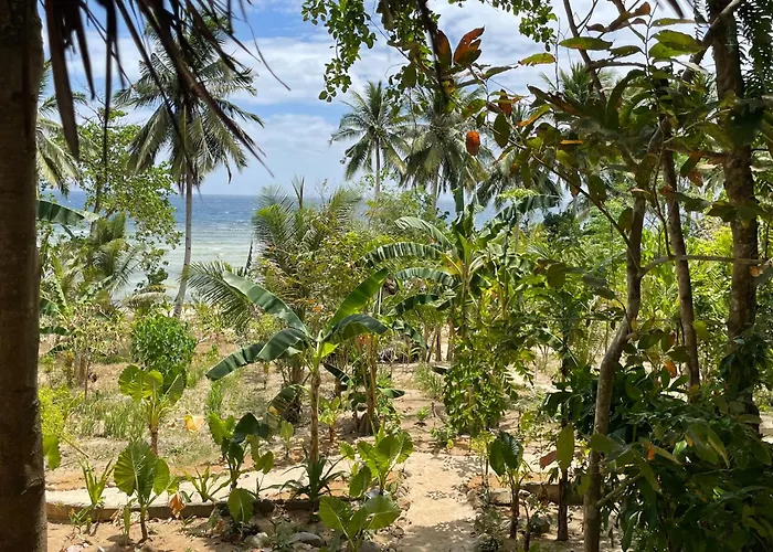 Love Harmony Union Sanctuary El Nido