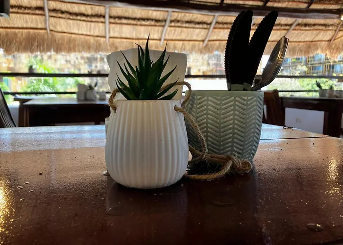 Hotel Aria Quinta Avenida & Rooftop Playa Del Carmen