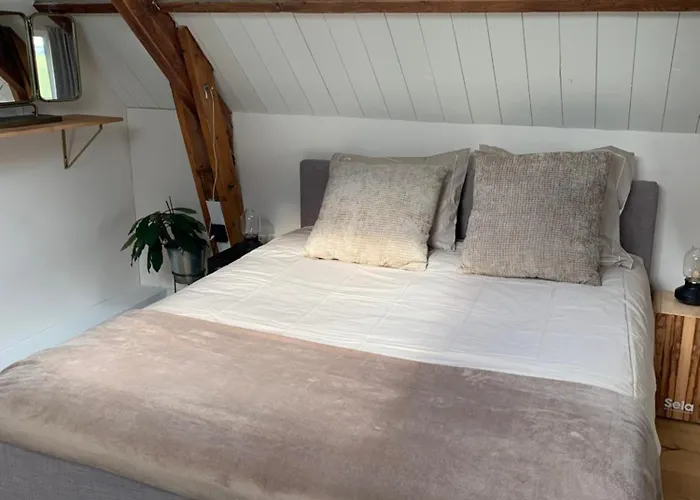 B&B De Vrijbuiter De Cocksdorp 