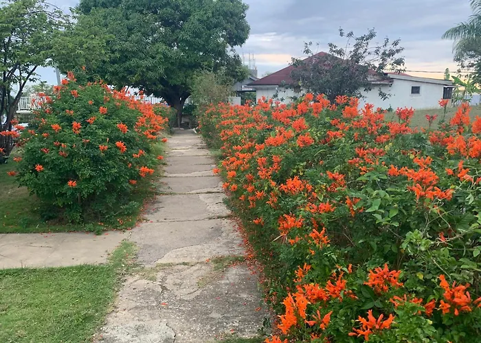 Garden Beach Resort Montego Bay