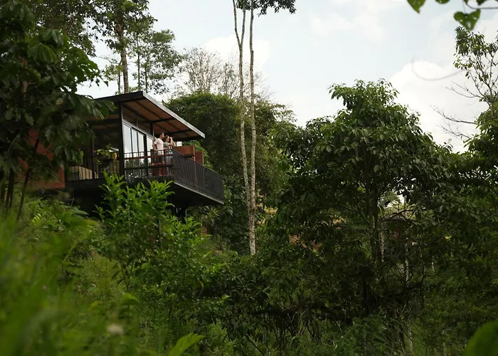 Reverie Hotel Filandia