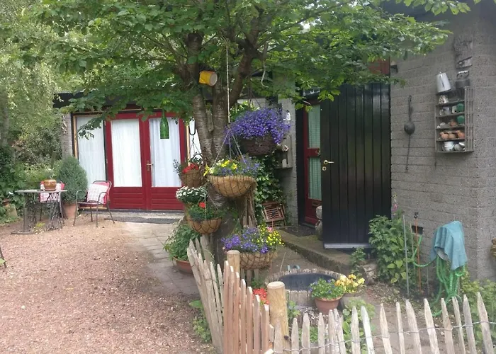Bed&Breakfast Het Oude Bos Wijnjewoude