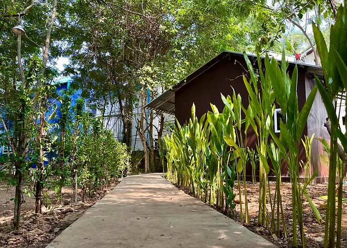 River Nest Hostel Kampot