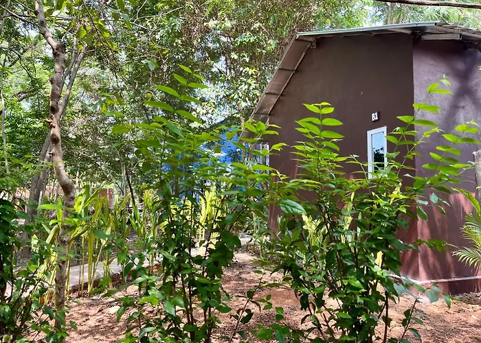 River Nest Hostel Kampot