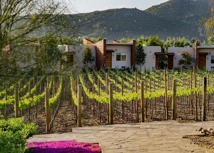 Ojo Azul Resort Valle de Guadalupe