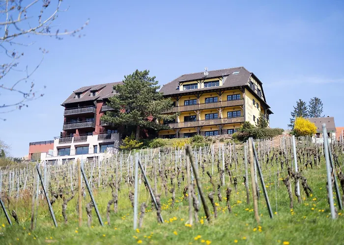 Hotel Arnold Itterswiller