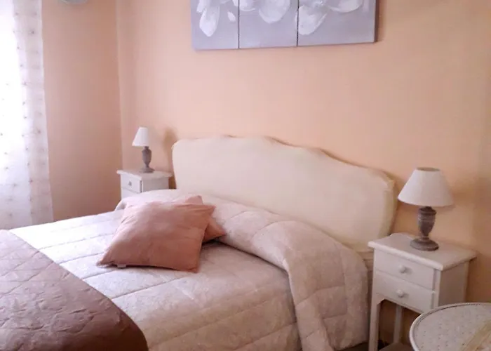 B&B Mercedes Bolonia