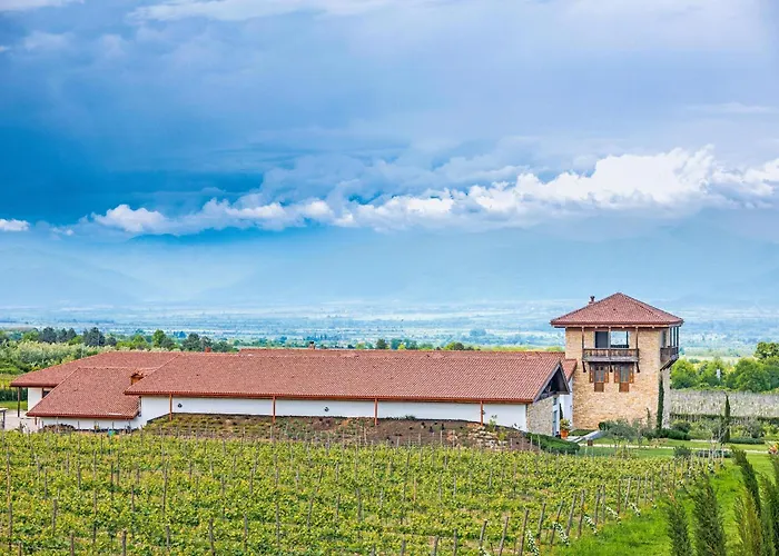 Chateau Mosmieri Hotel & Winery Telavi