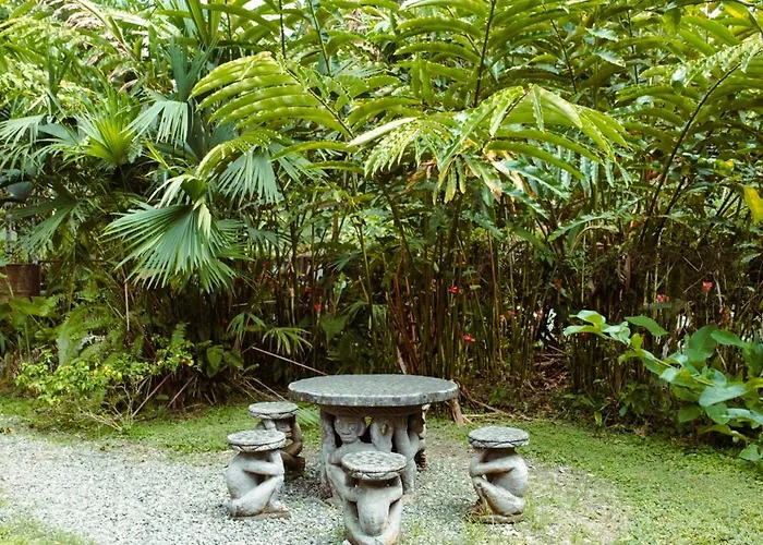 Pura Vida Vegana Hotel Cahuita
