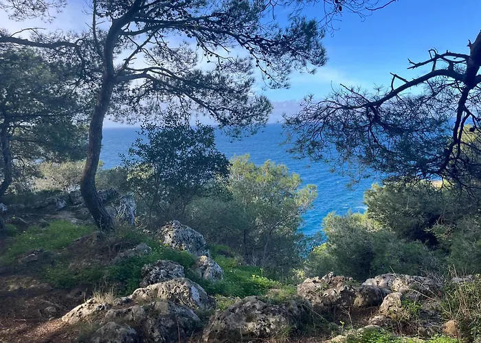 Il Polpo Bed & Breakfast Nardo