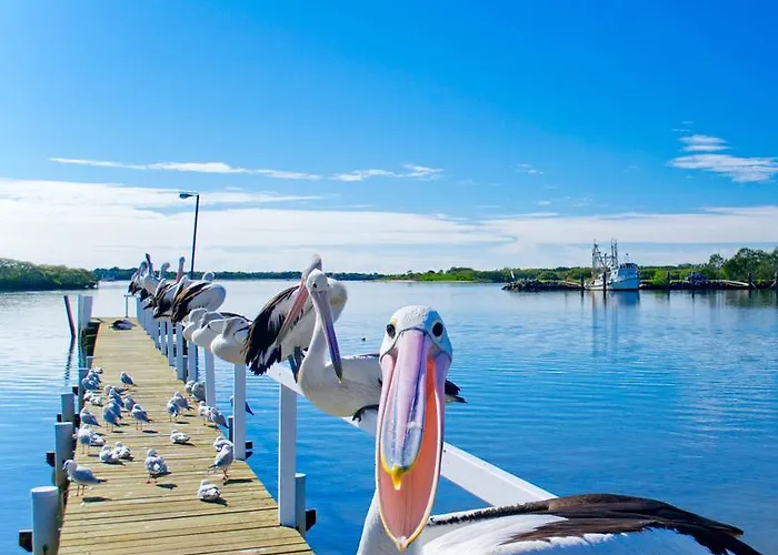 Moby Dick Waterfront Resort Motel Yamba