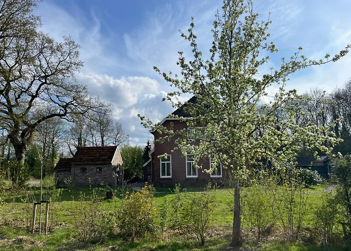 Hoeve Veganza B&B Vlagtwedde
