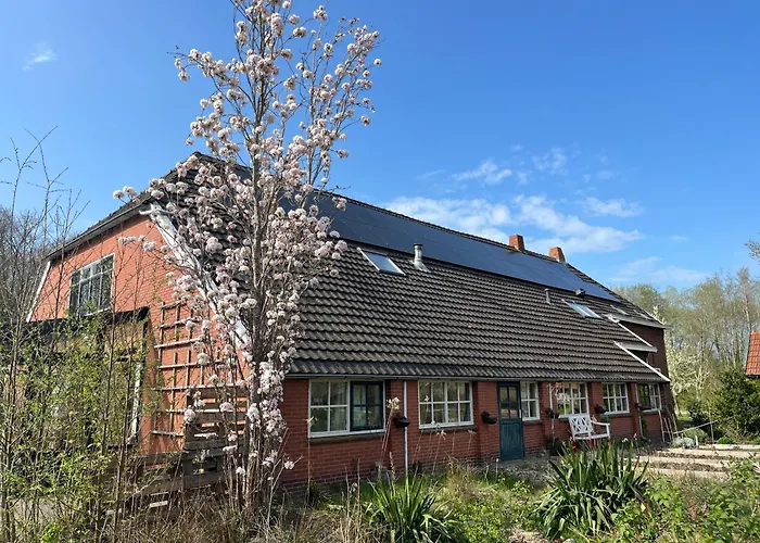 Hoeve Veganza B&B Vlagtwedde