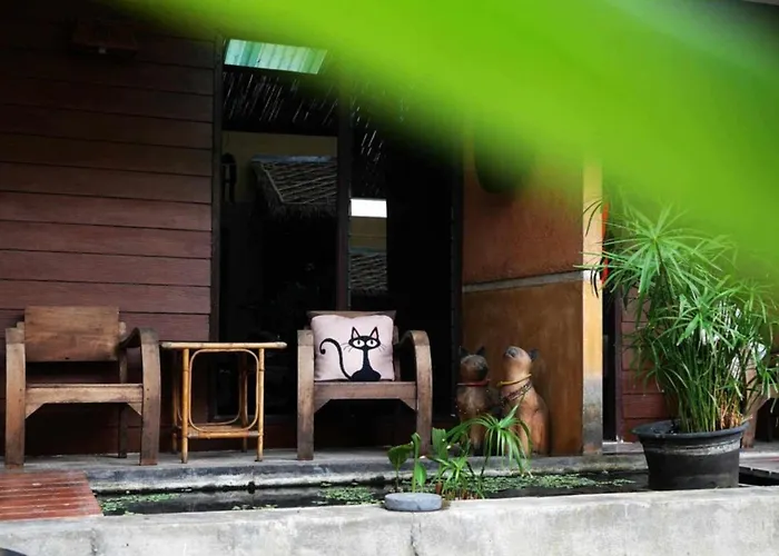 Koko Palm Inn Chiang Mai